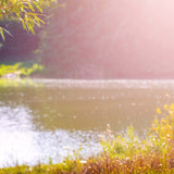 How to get rid of silt in a pond?
