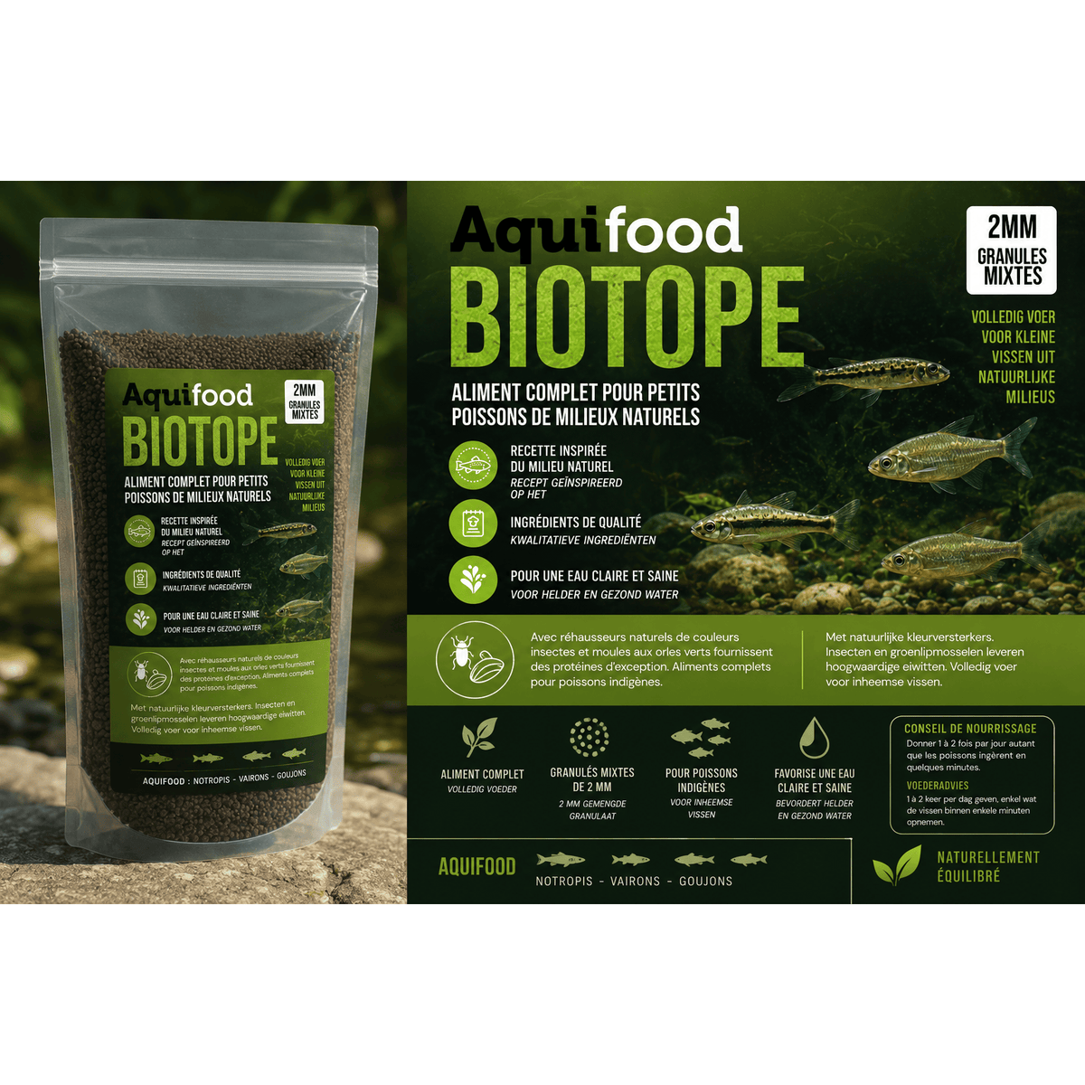 Aquifood Biotope – vairons et petits poissons dans une mare naturelle