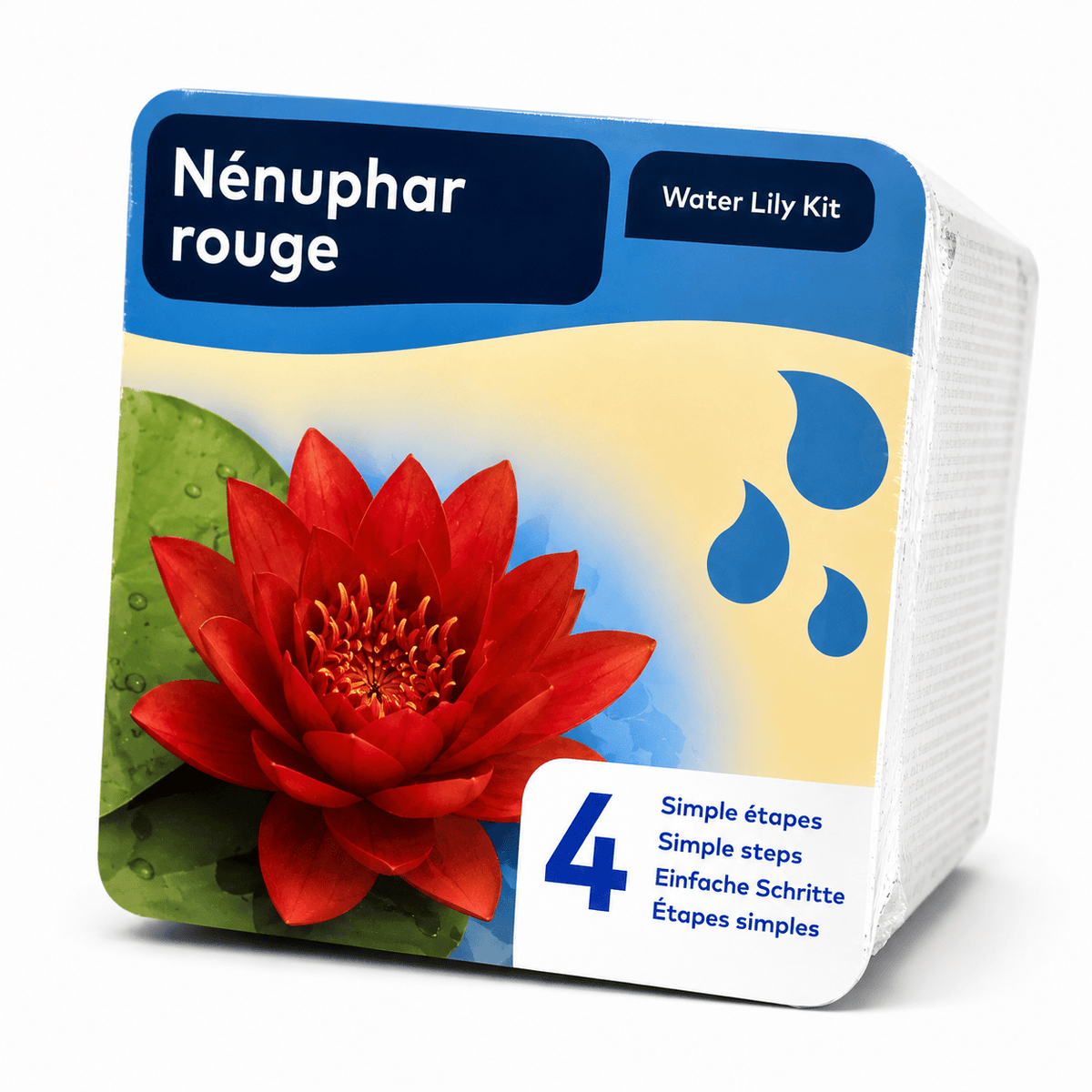 Kit de plantation de nénuphar rouge, emballage de présentation