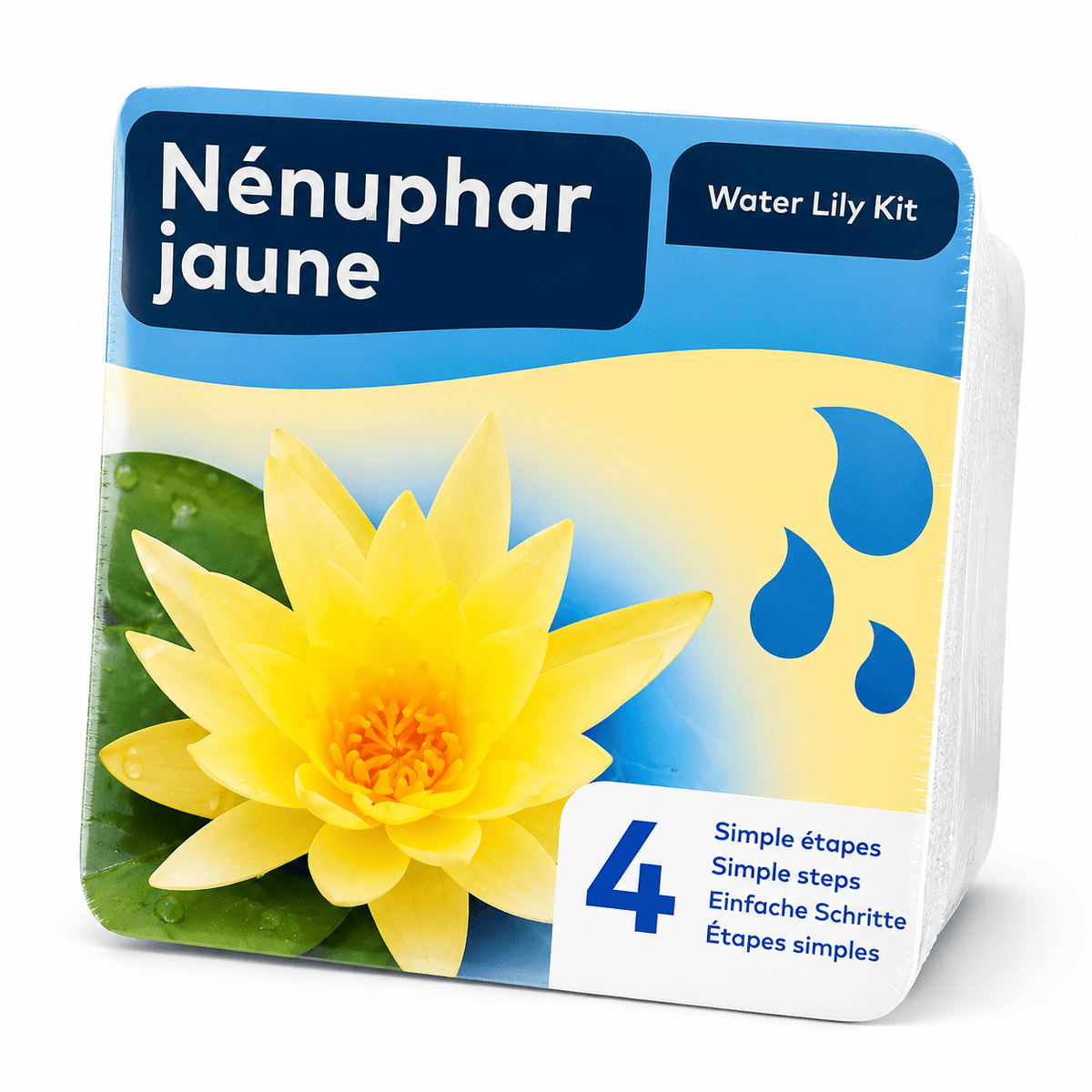 Kit de plantation de nénuphar jaune, emballage de présentation