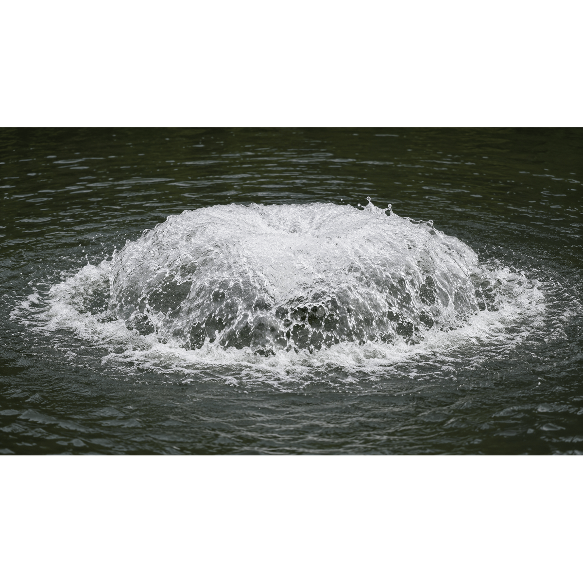 Aquitechnics Emulseurs Aérateur de surface haute performance pour étang naturel - Aquitechnics - Émulseur pour étang