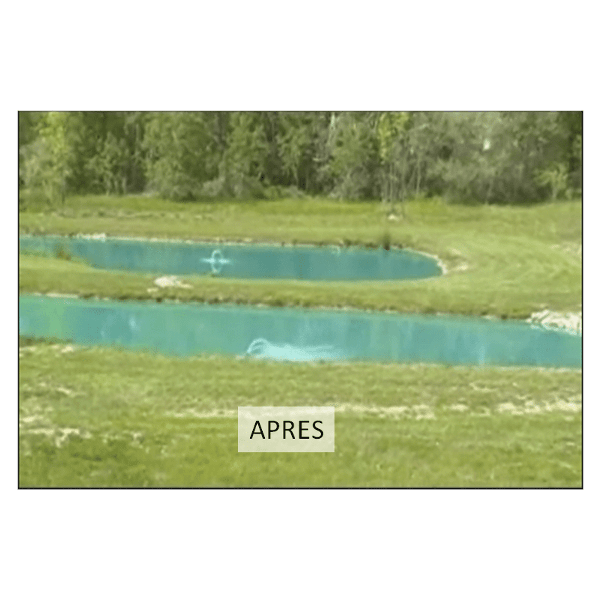 Taso Solutions pour étang naturel Aquipond BLUE MARINE 1KG (10 SACHETS) - Colorant pour étang naturel - Blue Lake