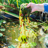 Wie kontrolliere ich Algen in meinem Teich?