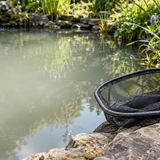Eau laiteuse après nettoyage du bassin : que faire ?