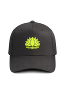 Casquette Aquiflor - Black Édition 2026