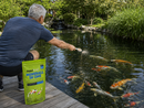Minerall in One Aquipond - Augmente GH & KH simultanément - 2.5KG pour traiter 30M³