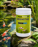 Aquipond Greenstab 1KG - Behandeling tegen draadalgen