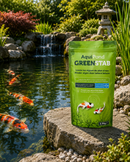 Aquipond Greenstab 2,5KG - Behandeling tegen draadalgen