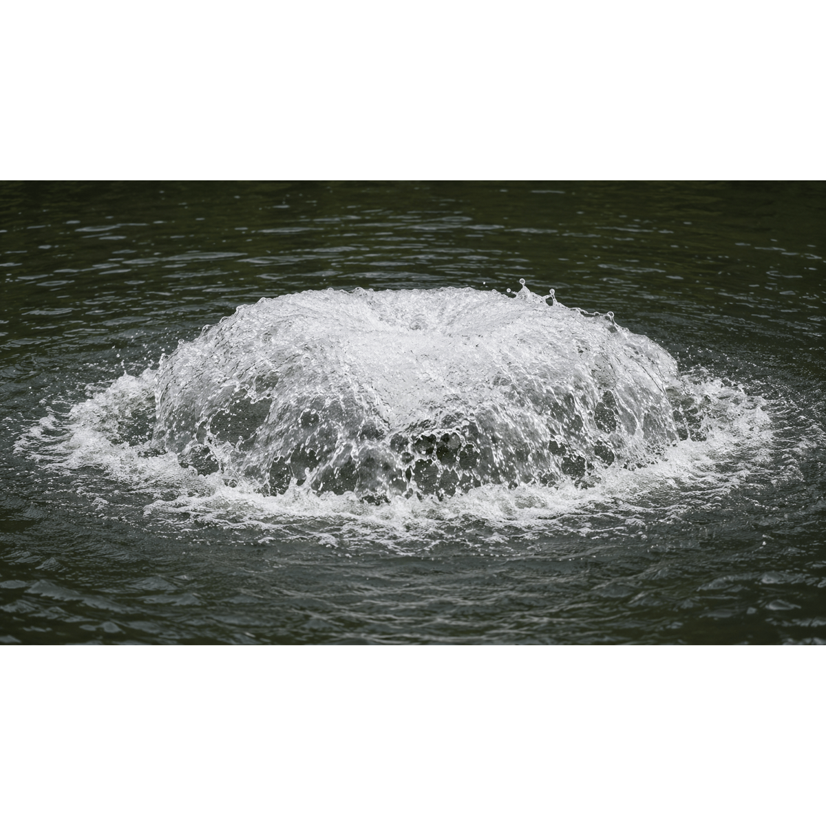 Aquitechnics Emulseurs Aérateur de surface haute performance pour étang naturel - Aquitechnics - Émulseur pour étang