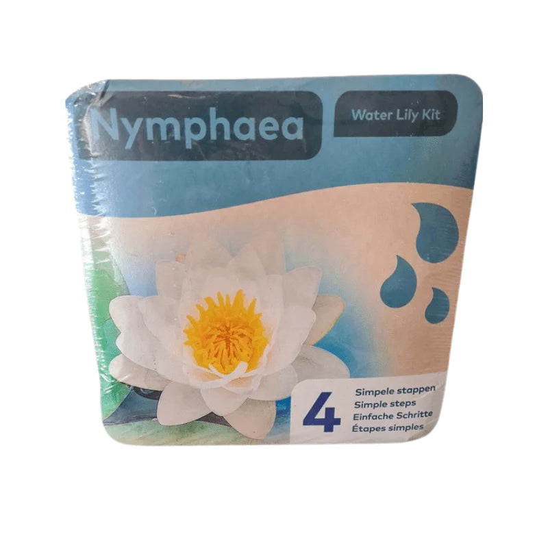 Aquipond Plantes aquatiques Nénuphar Blanc - Nymphaea en KIT sec 8718226855763