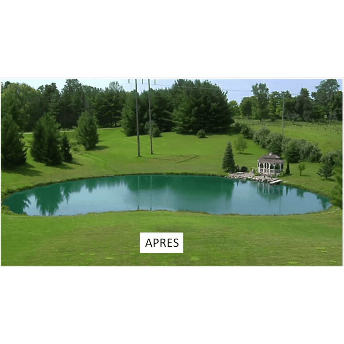 Taso Solutions pour étang naturel Aquipond BLUE MARINE 1KG (10 SACHETS) - Colorant pour étang naturel - Blue Lake